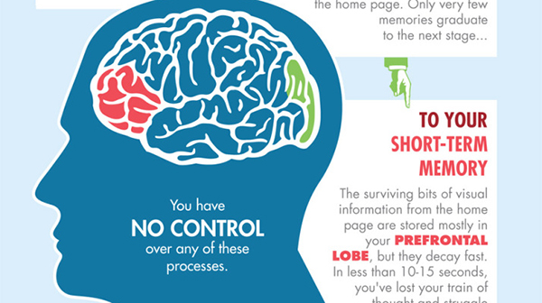 Infografía Explicativa De Nuestras Reacciones Instintivas Al Cargar Una Web