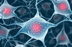 Mindfulness Para Conectar Cuerpo Y Mente